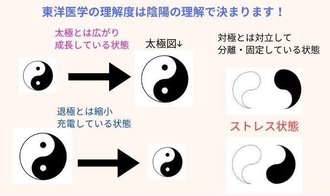 本 陰陽太極鍼〜陰陽論で考える鍼灸取穴法の実際〜 誰でもできる刺さず